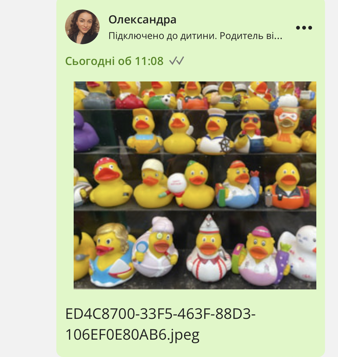 file.jpeg
