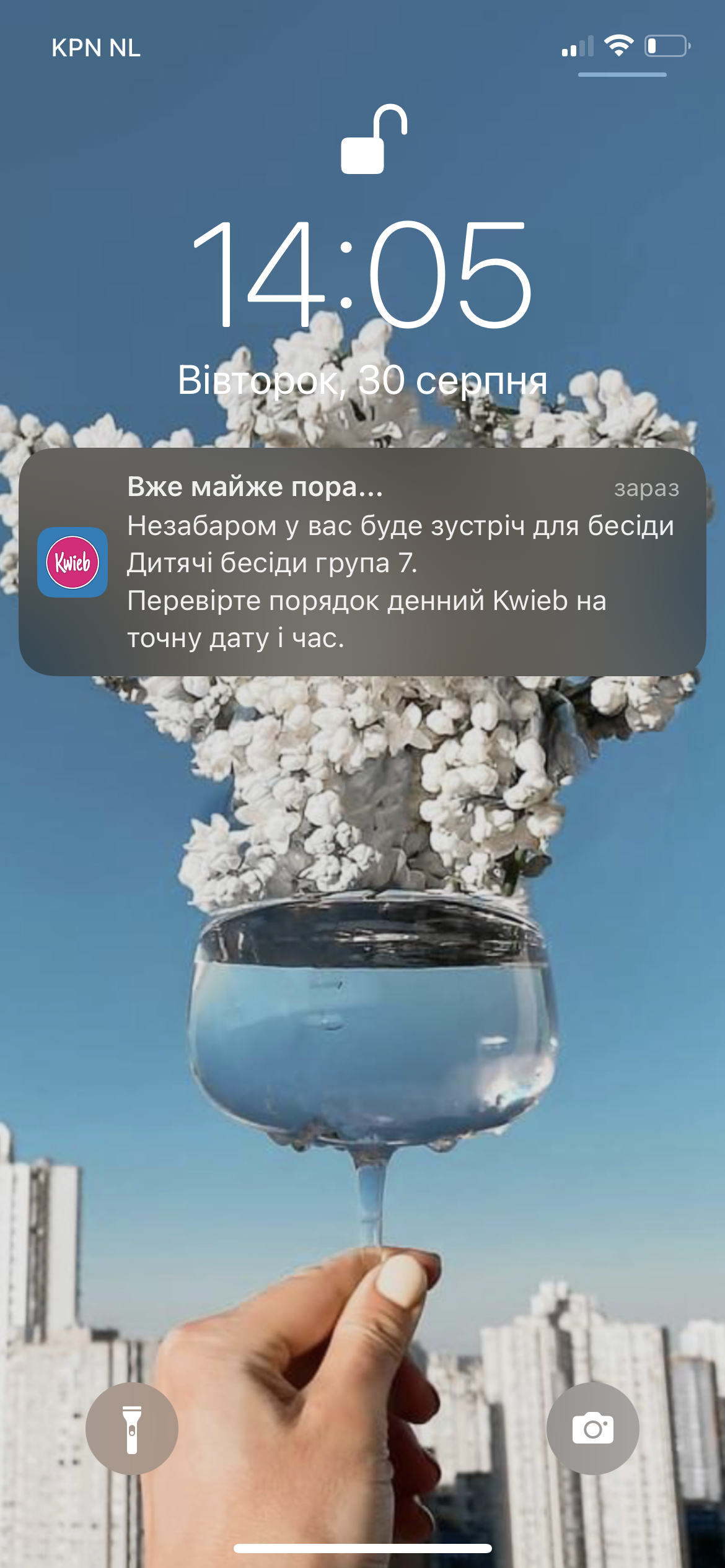 IMG_1330.PNG